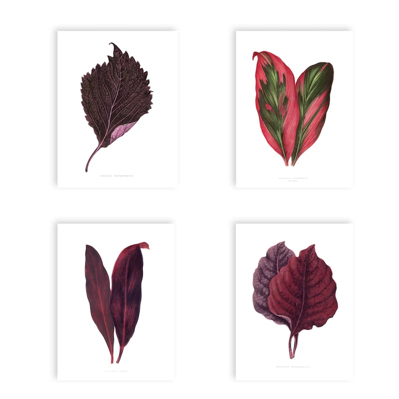 "Blush Botanica" Set of Four Framed Textured Wall Art - Multi-Color