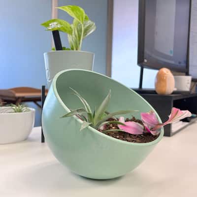 7" Sage Green Orbital Bamboo Planter