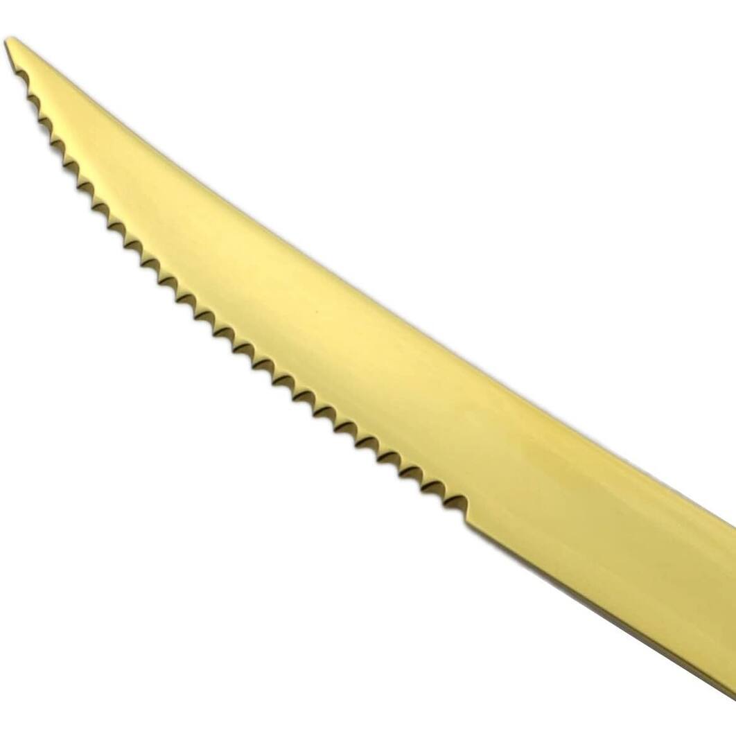 20Piece 18/10 Stainless Steel Serrated Steak Knife Flatware Set