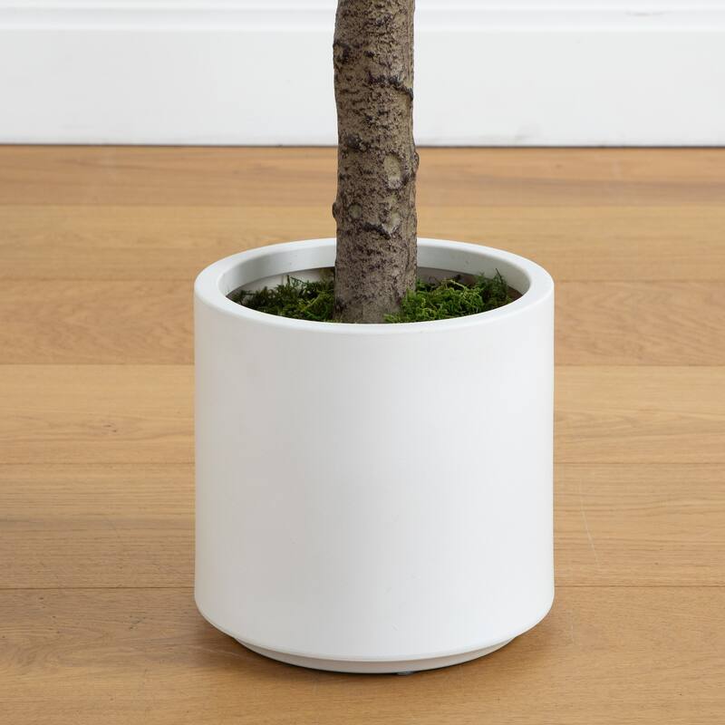 Jacaranda Leave Artificial Tree with White Planter - 6' - Green