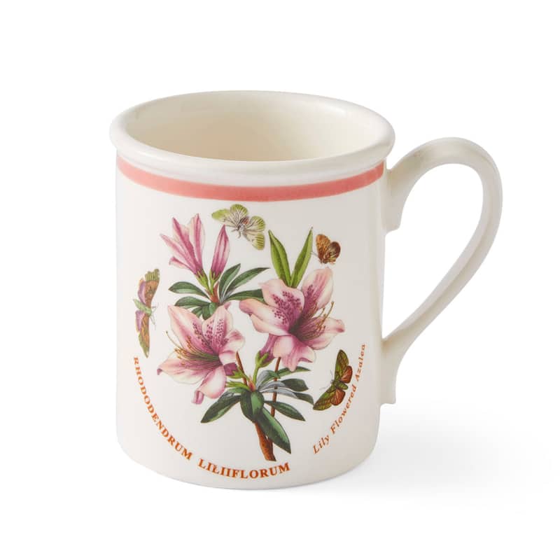 Portmeirion Botanic Garden Set of 6 Meadow Breakfast Mugs - 8.5 oz