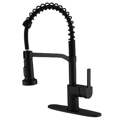 WIZ Pull-Down Sprayer 2 Spray High Arc Kitchen Faucet