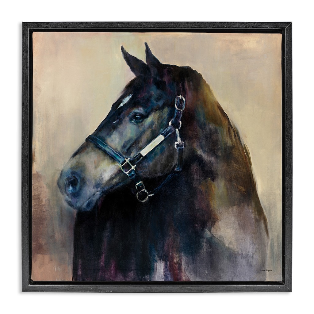 Stupell Black Horse Riding Harness Watercolor Framed Floater Canvas Wall Art Design by Marilyn Hageman