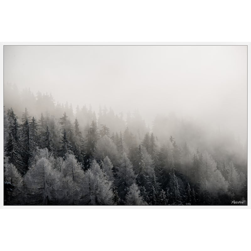 I Belong in the Forest Floater Framed Print on Canvas