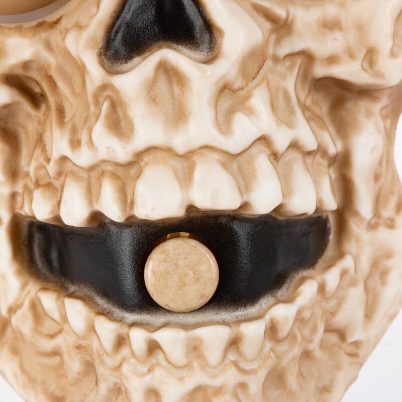 8 in. Illuminated Animated Wall Hanging Halloween Skull