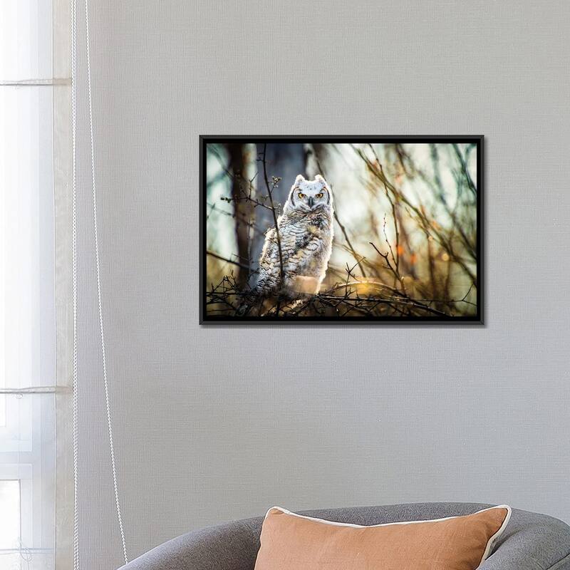 iCanvas "Owl At The Woods" by Nik Rave Framed Canvas Print