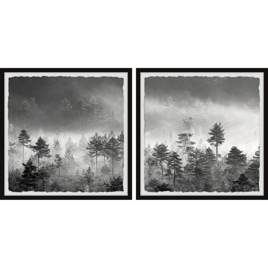 The Forest Spoke Diptych