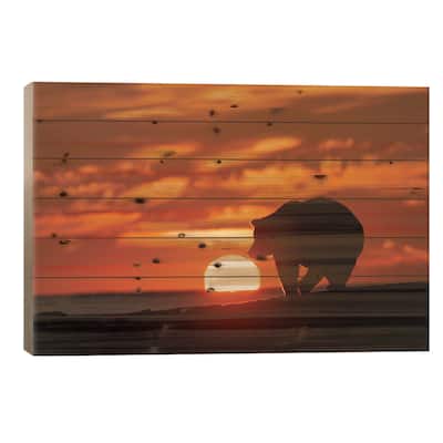 Adult Grizzly Bear On Beach, Lake Clark National Park And Preserve, Alaska, Silver Salmon Creek Print On Wood by Adam Jones