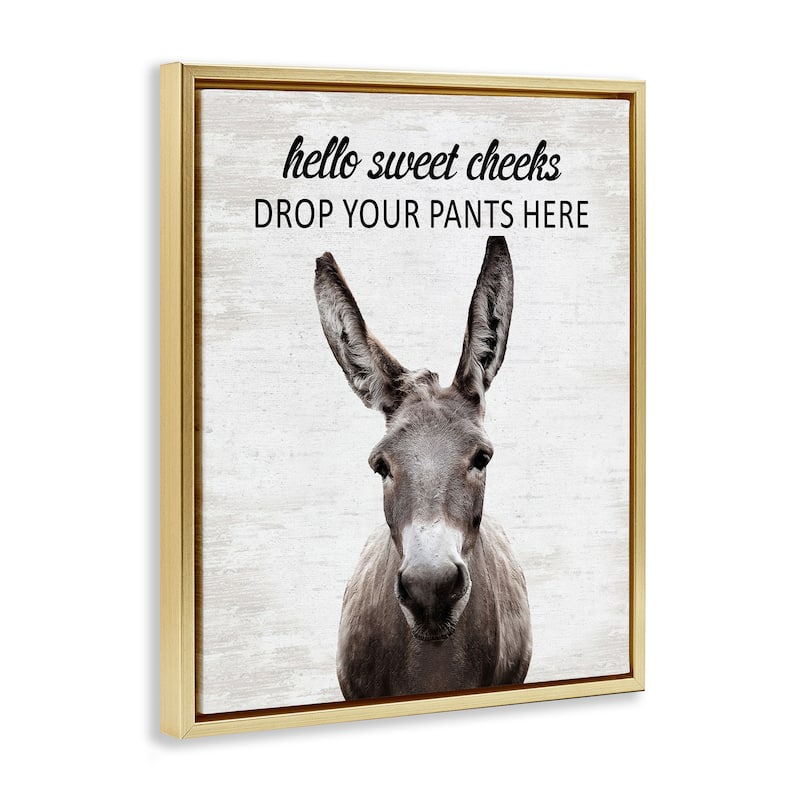 Stupell Drop Pants Here Funny Laundry Framed Floater Canvas Wall Art Design By Lettered and Lined