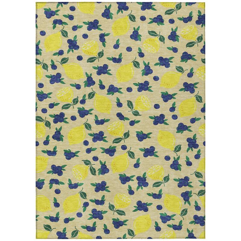 Machine Washable Indoor/ Outdoor Citrus Berry Chantille Rug