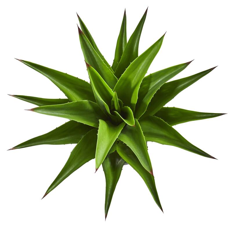 Artificial Thick Agave Potted Plant - 2.5'
