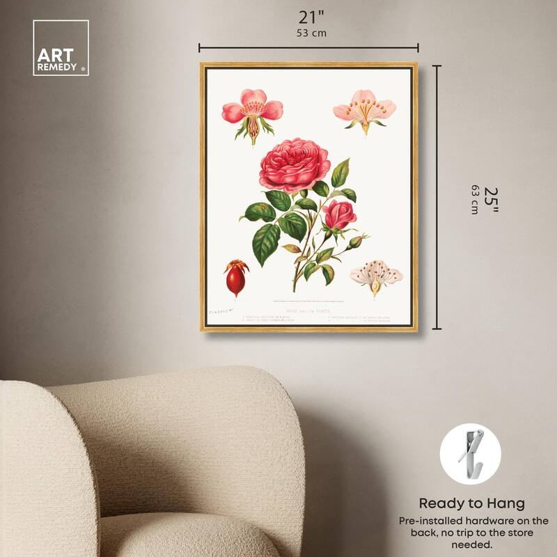 Rose and its parts (1872) Canvas by Art Remedy