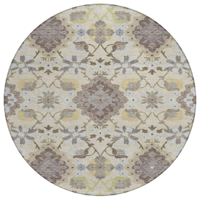 Machine Washable Indoor/ Outdoor Boho Traditional Chantille Rug
