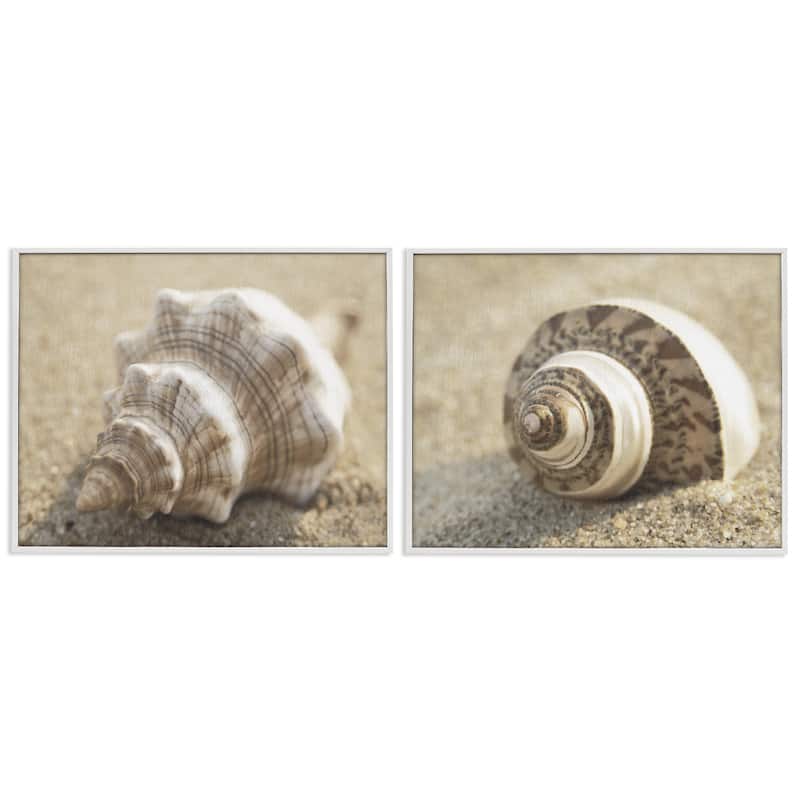 Stupell Neutral Tone Sea Life Framed Giclee Art Design By Dora Rotondella (Set of 2) - 14 x 11 - White