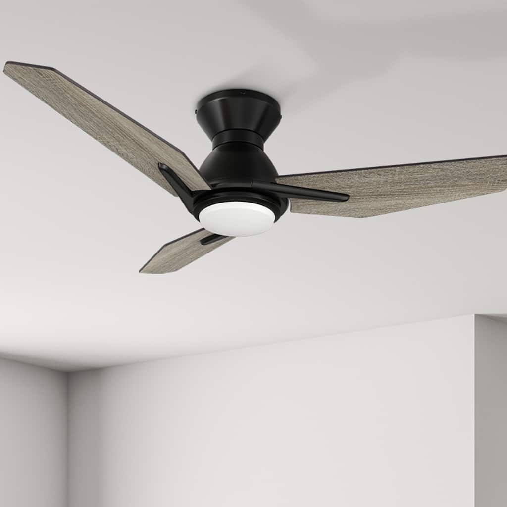 CARRO Jaiden 44" 3-Blade Smart Ceiling Fan with Light and Remote-Flush Mount