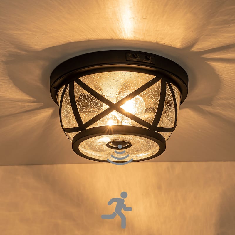 C Cattleya 2-Light Matte Black Motion Sensing Outdoor Flush Mount Light With Clear Seeded Galss - Matte Black