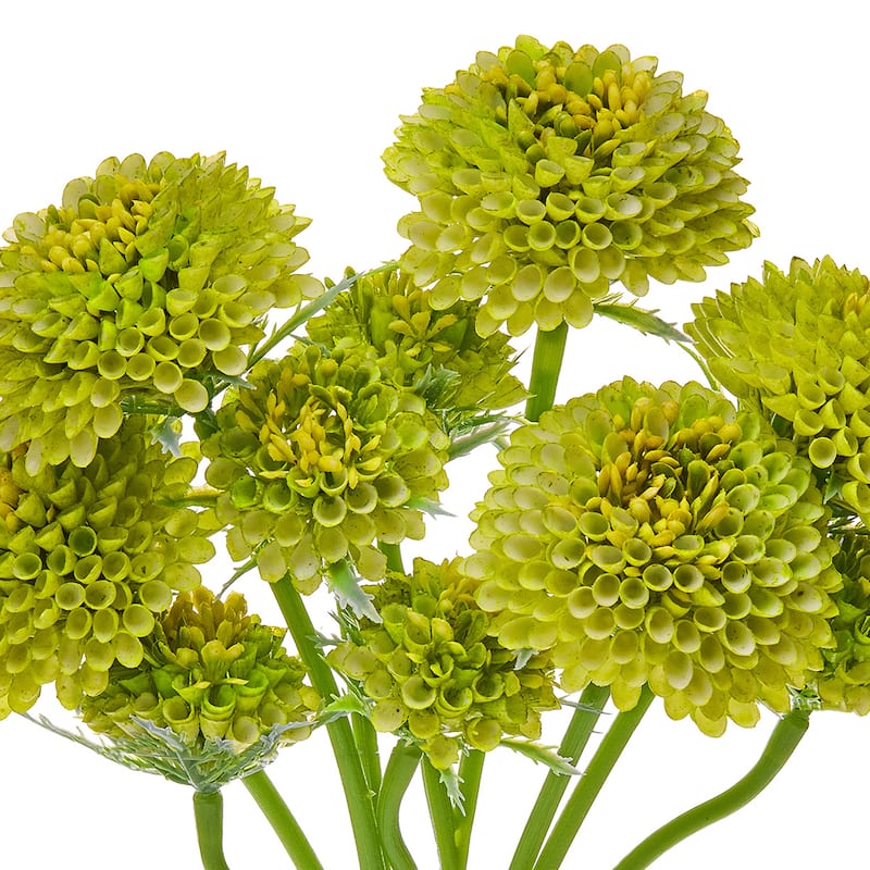 14" Scabiosa Bundle