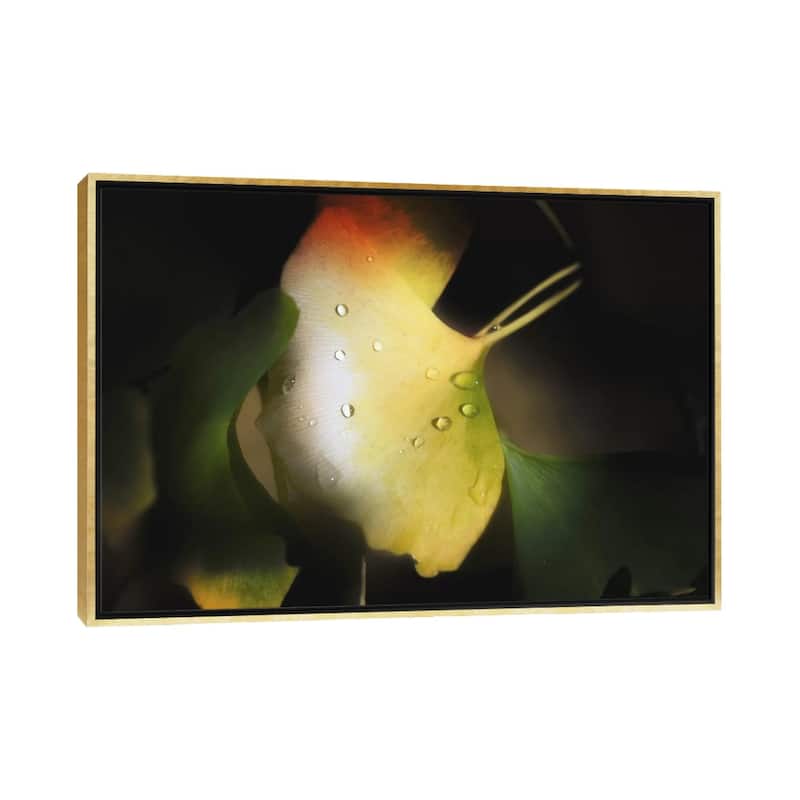 iCanvas "Apple Color" by Philippe Sainte-Laudy Framed - Gold - 26x40