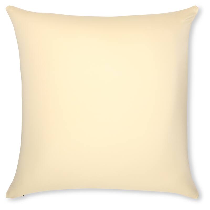 Throw Pillow Cozy Soft Microbead Off White Creme: 1 Pc - | 22 x 22 |