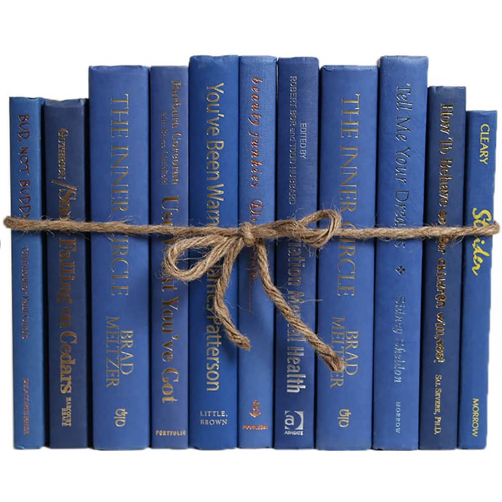 Books Blue Decorative Accessories: Blue Jay Colorpak