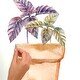 preview thumbnail 3 of 3, RoomMates Brown & Green Watercolor Potted Herbs Wall Decals