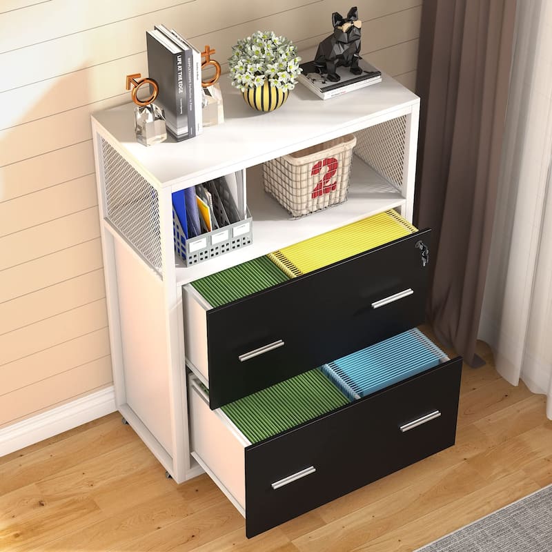 2-Drawer Lateral File Cabinets Legal Size, Large Filing Cabinet with Lock, Printer Stand