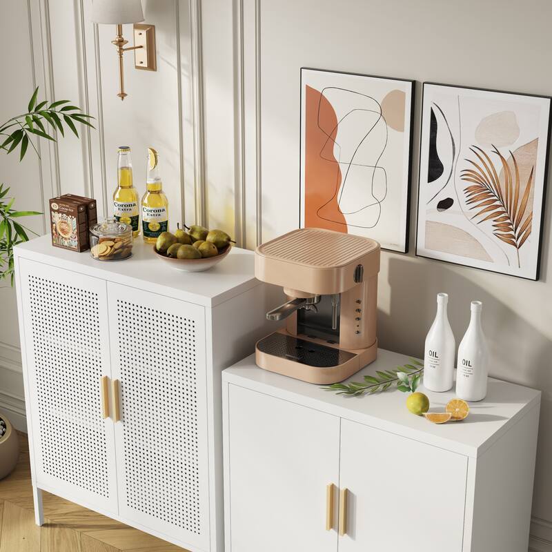 Metal Storage Cabinet with Doors and Adjustable Shelves, Steel Garage Storage Cabinet, Metal File Cabinet