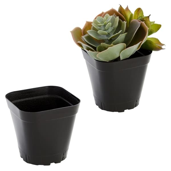 fiberglass planter pots Fiberglass Round Planter  The Old Yew Plant Shop