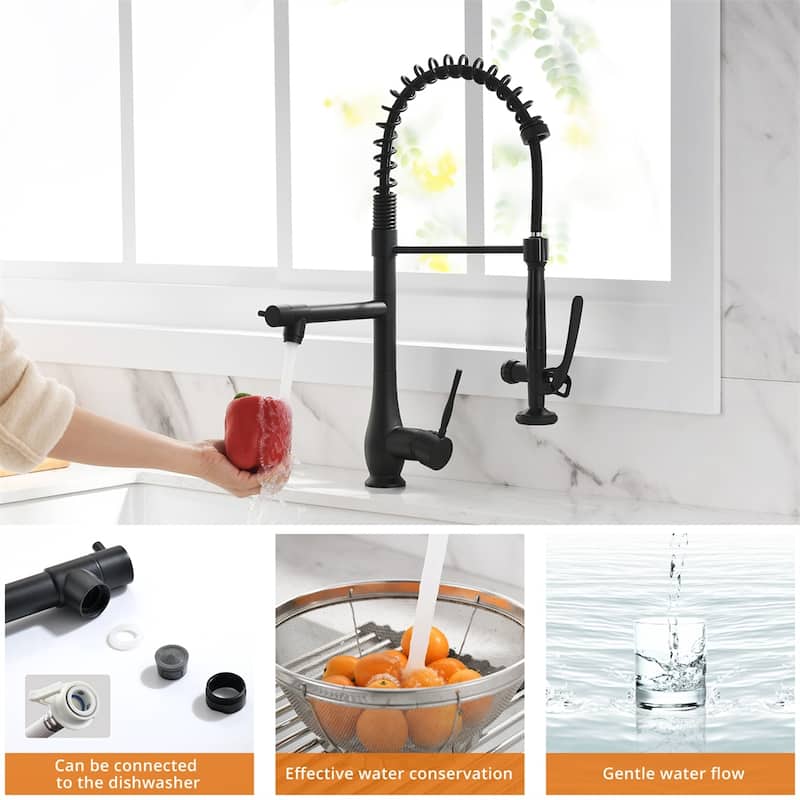Single Handle Kitchen Faucet with Pull Down Sprayer