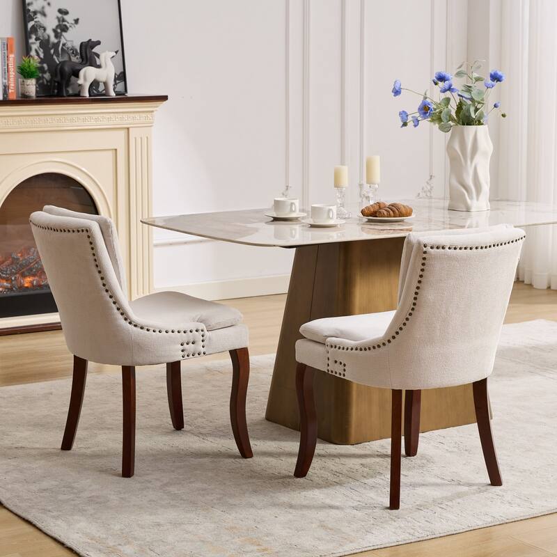 Modern Dining Chairs Set of 2, Accent Side Leisure Chairs