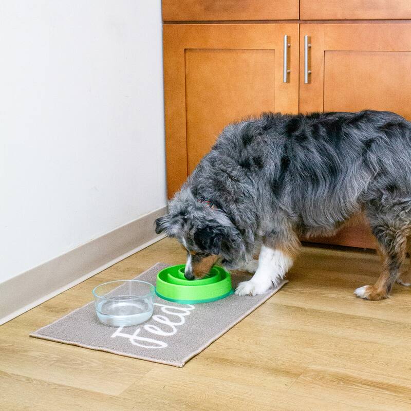 Perro & Gato Lost Marbles Pet Mat - 16x24