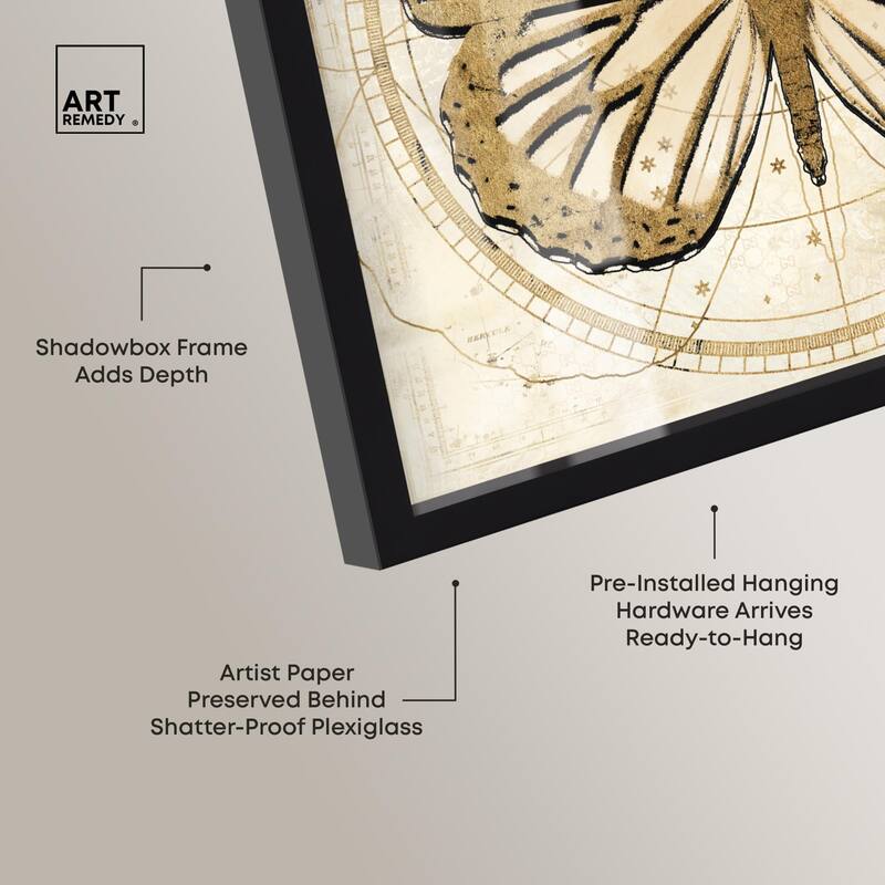 Astro Fluttering Wings Shadowbox by Art Remedy