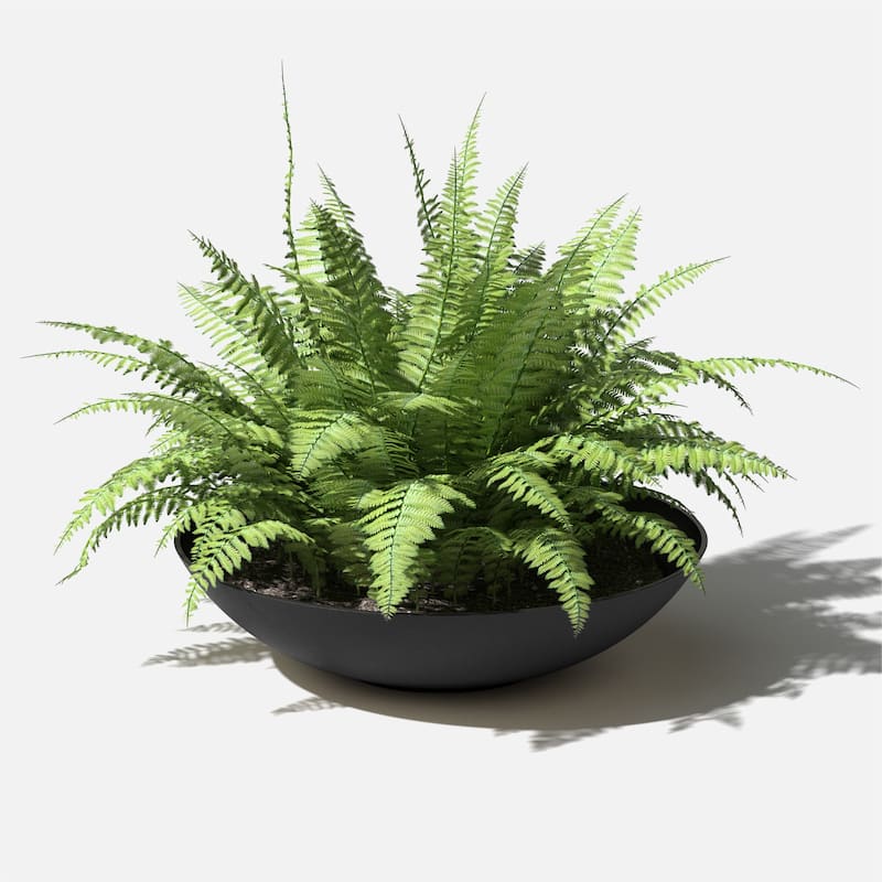 Veradek Pure Series Lane Bowl