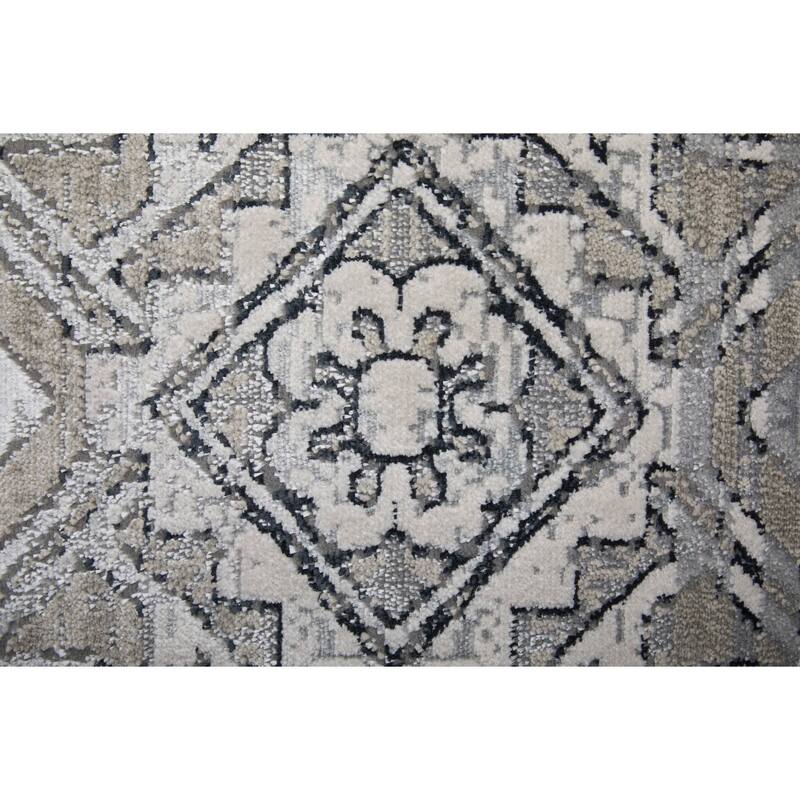 Adana R39LG Distressed Transitional Area Rug