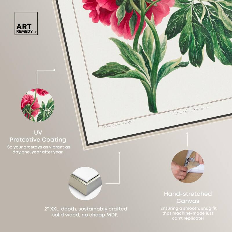 Double Peony (1789) Canvas by Art Remedy