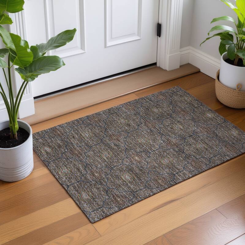 Machine Washable Indoor/ Outdoor Traditional Mika Chantille Rug