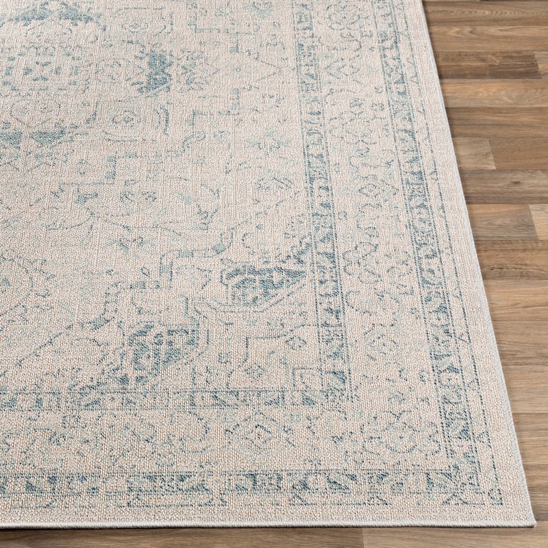 Ronald Indoor / Outdoor Medallion Area Rug