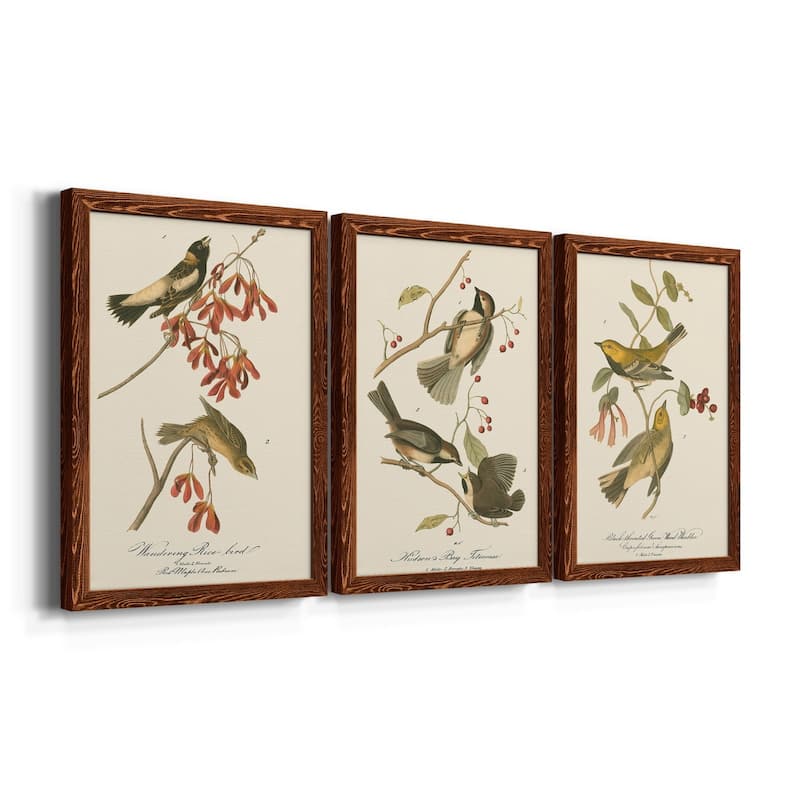 Wandering Rice Bird-Premium Framed Canvas - Ready to Hang - Multi-Color
