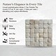 preview thumbnail 6 of 6, Molar 5 Tan Pebble Mosaic, Backsplash Tiles for Kitchen Walls, Shower and Bathroom Floors (12" X 12") 5 tiles per case