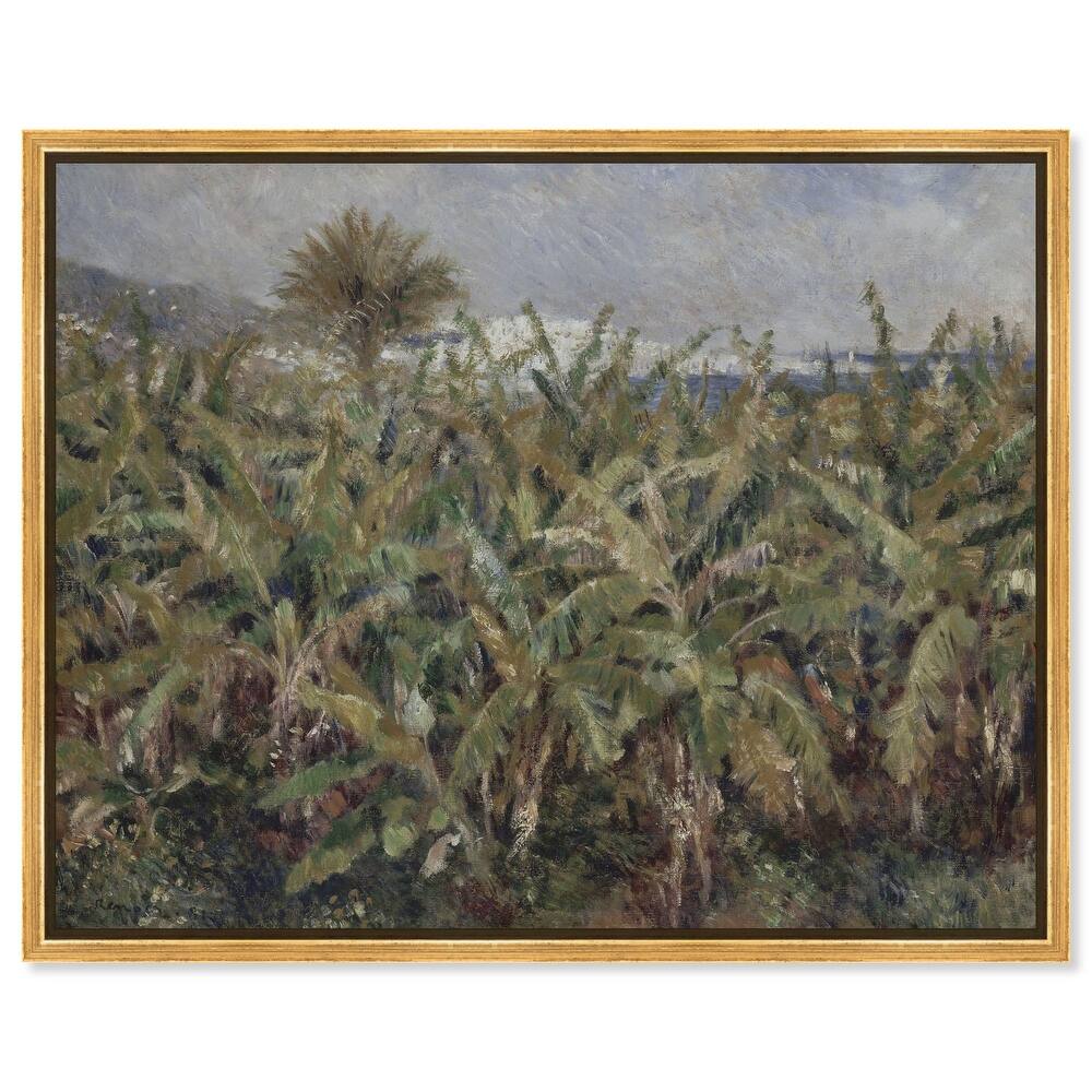 Field of Banana Trees Canvas by Art Remedy