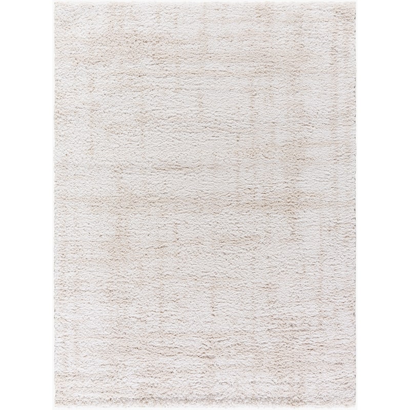 Livabliss Modern & Contemporary Sacramento Shag Ombre Area Rug