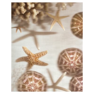 Nautical Illuminations No. 3 Canvas Art Print