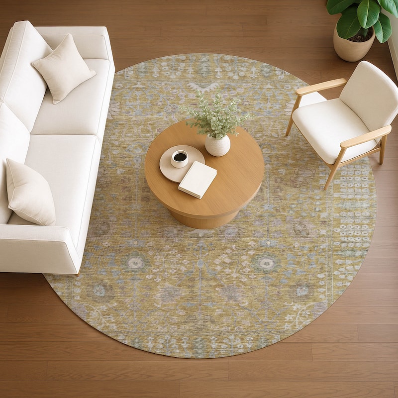 Machine Washable Indoor/ Outdoor Traditional Classic Chantille Rug