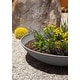 preview thumbnail 57 of 110, Mason Series Lane Bowl Planter