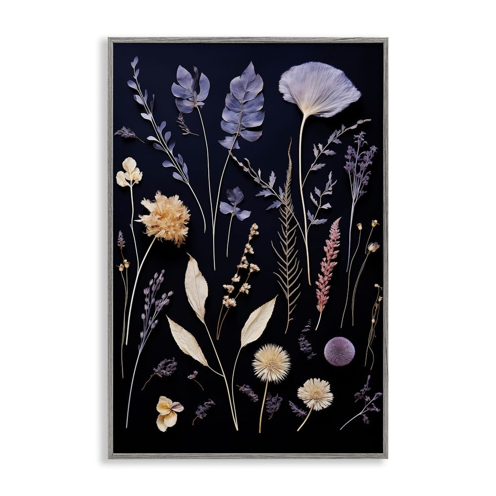 Stupell Various Sprigs on Black Framed Giclee Art Design By Heidi Kuntz