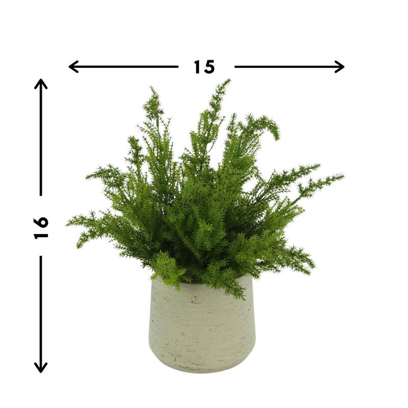 Cedar Arranged in Fiberstone Pot - Green