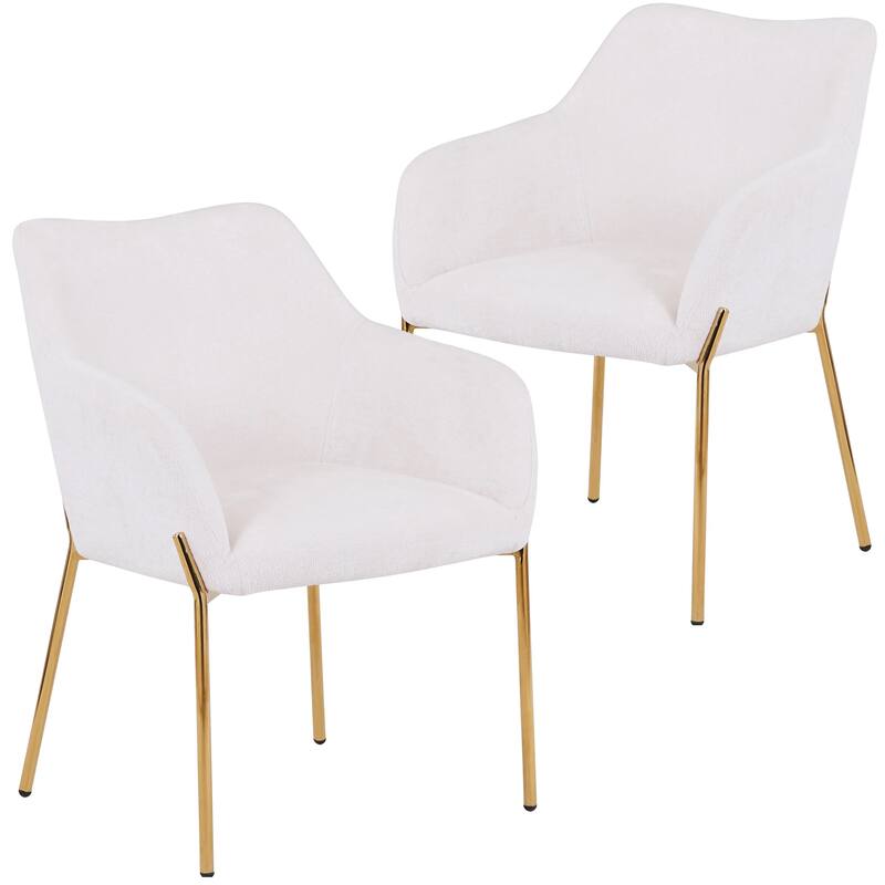 Zaire Upholstered Dining Chair in Velvet/Leather/Boucle with Gold Chrome Iron Set of 2 - White