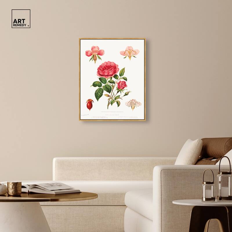 Rose and its parts (1872) Canvas by Art Remedy