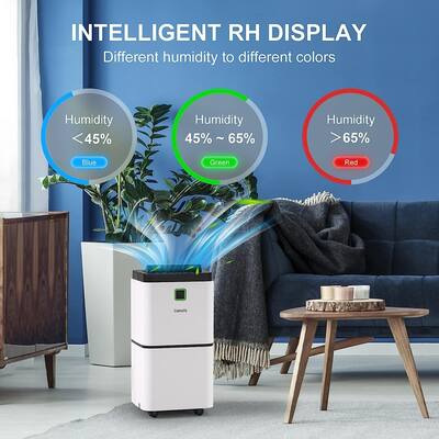 25 pt. Home Dehumidifiers in White with Drain Hose and Water Tank