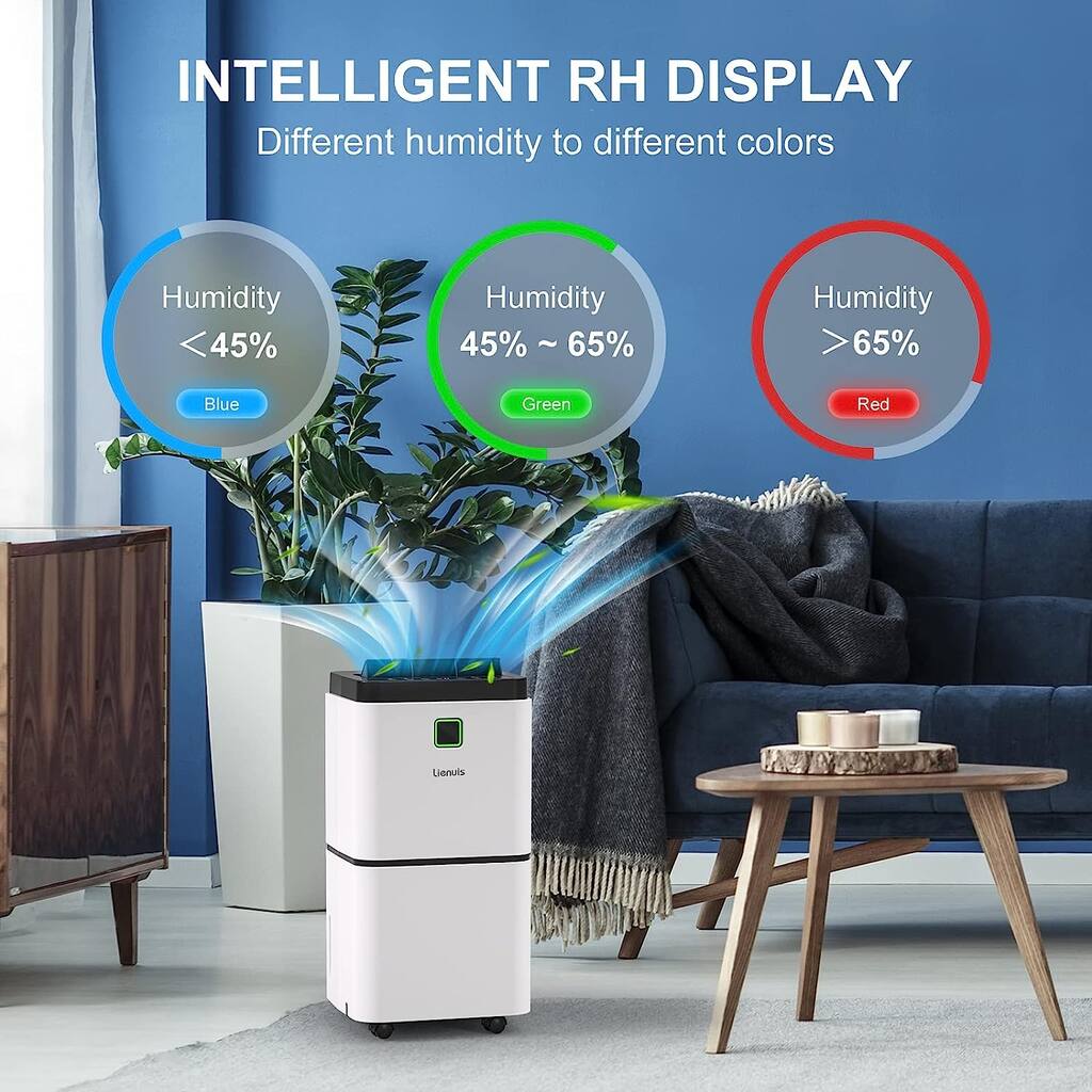 25 pt. Home Dehumidifiers in White with Drain Hose and Water Tank